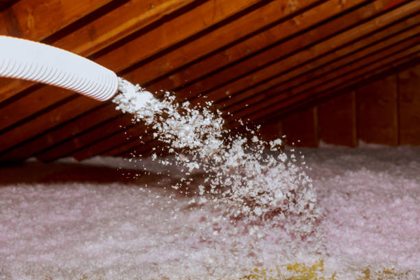 Best Insulation Maintenance and Repair in San Felipe, TX