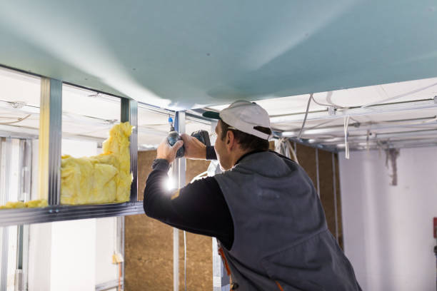 Best Insulation Installation Services in San Felipe, TX