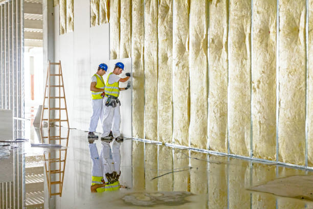 Best Insulation Installation Services in San Felipe, TX